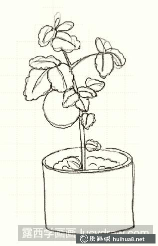 苹果儿童画