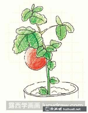 苹果儿童画
