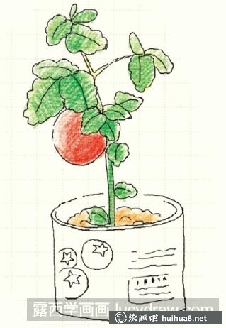 苹果儿童画