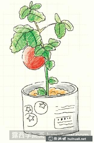 苹果儿童画