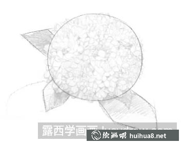 素描画绣球花 素描画绣球花