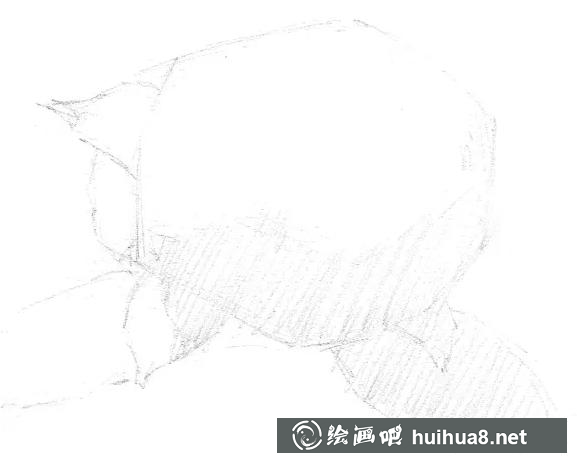 素描画绣球花 素描画绣球花
