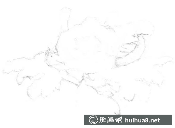 素描画菊花 素描画菊花