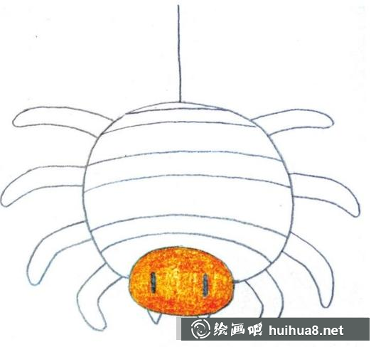 蜘蛛的画法