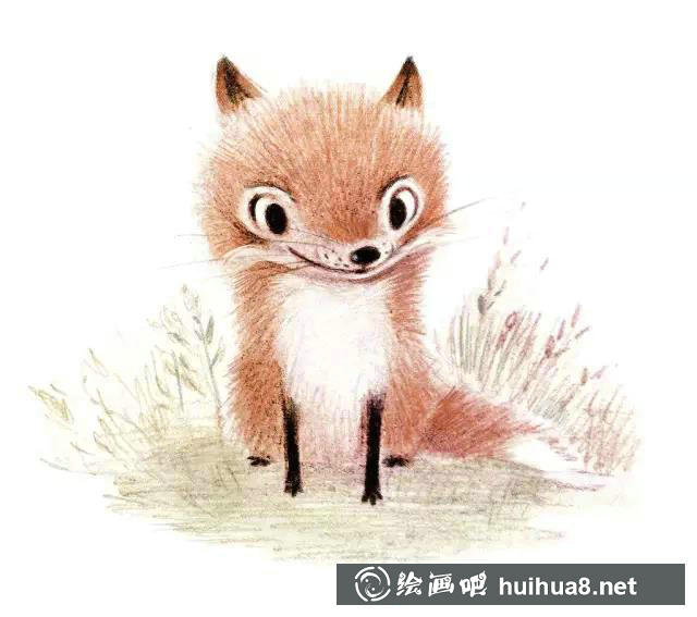 小动物彩铅画5
