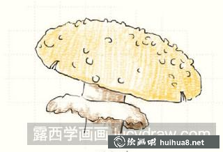 毒蝇伞儿童画