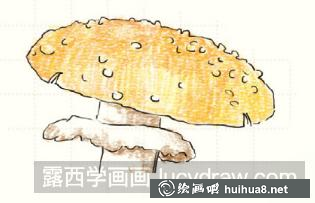 毒蝇伞儿童画