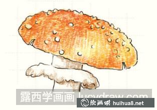 毒蝇伞儿童画