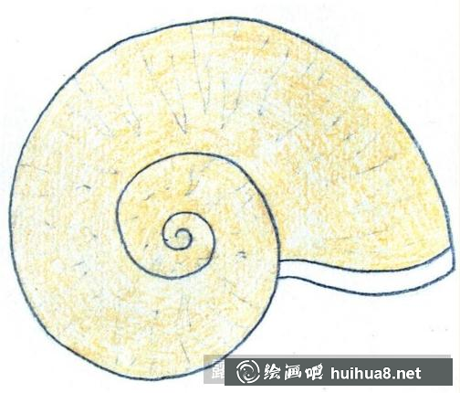 儿童画小海螺