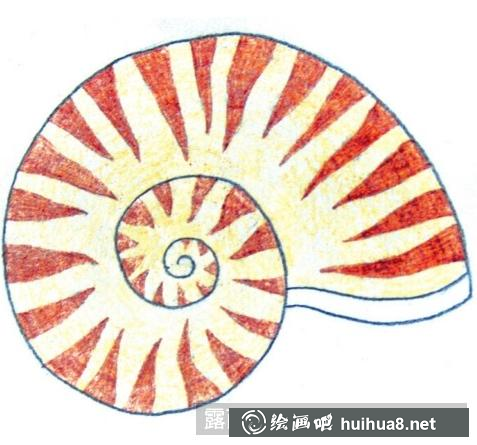 儿童画小海螺