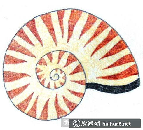 儿童画小海螺