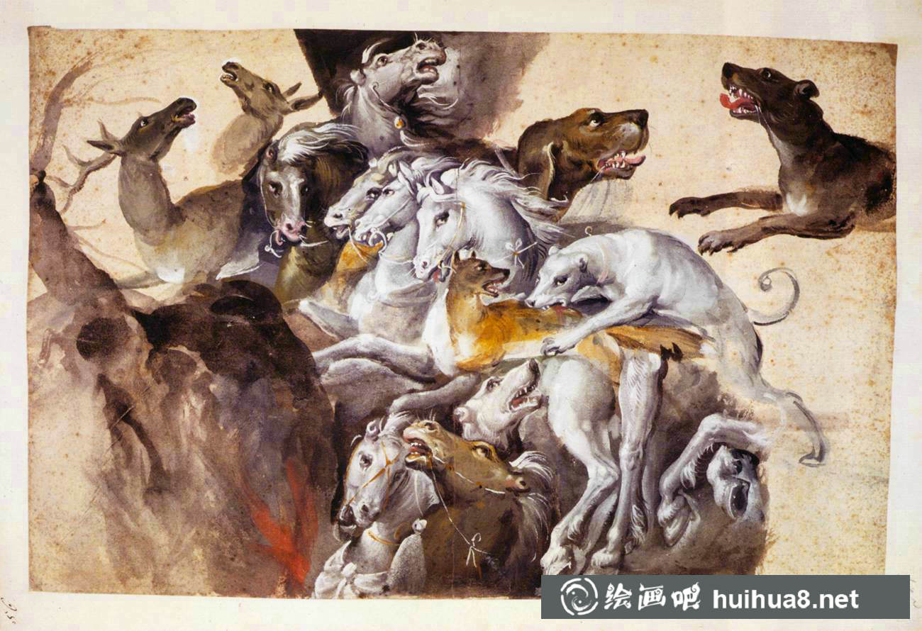 朱塞佩·阿尔钦博托动物博物画水彩作品欣赏
