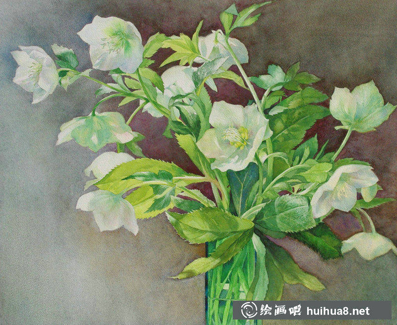 星野木绵的山间花草水彩画