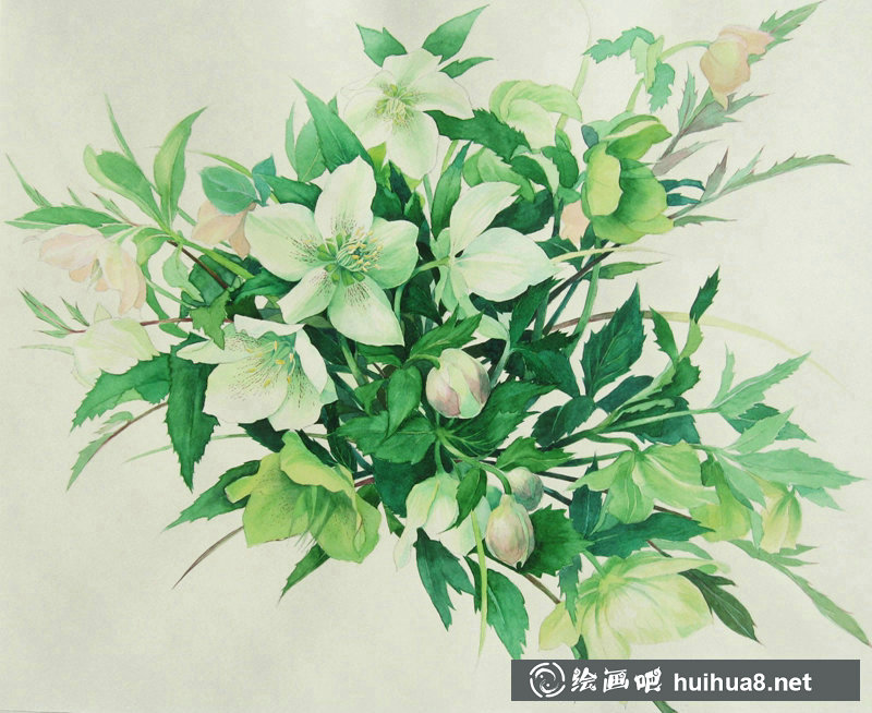 星野木绵的山间花草水彩画