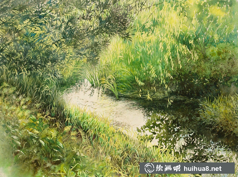 星野木绵的山间花草水彩画