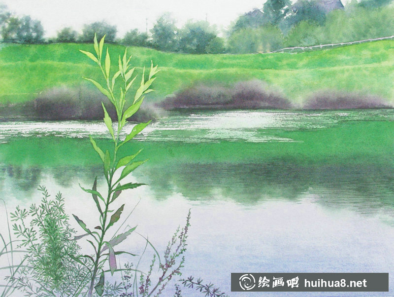 星野木绵的山间花草水彩画