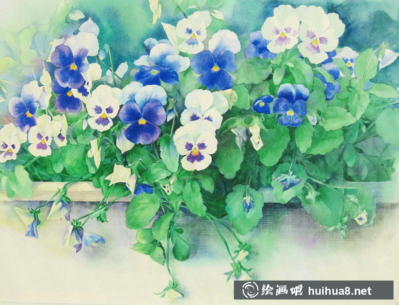 星野木绵的山间花草水彩画