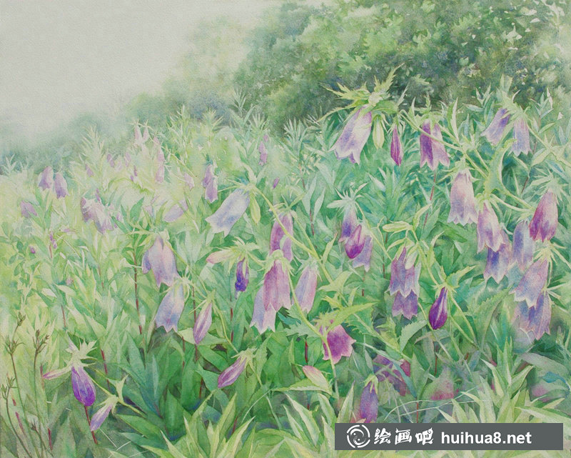 星野木绵的山间花草水彩画