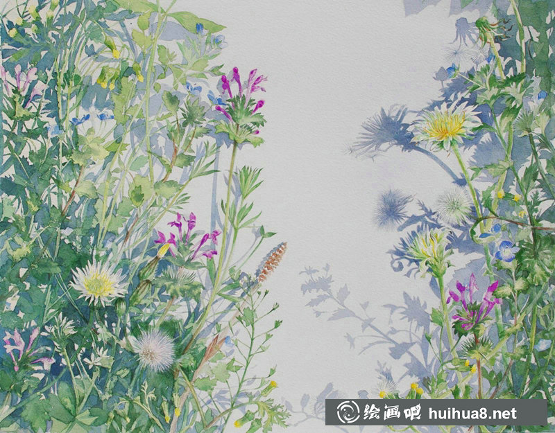 星野木绵的山间花草水彩画