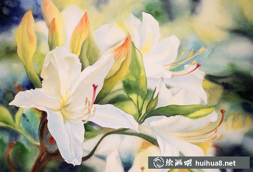 Marney Ward的光影水彩花卉