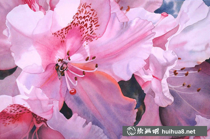 Marney Ward的光影水彩花卉