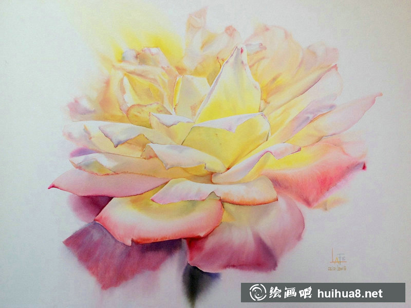 泰国Sattha Homsawat水彩笔下的玫瑰花