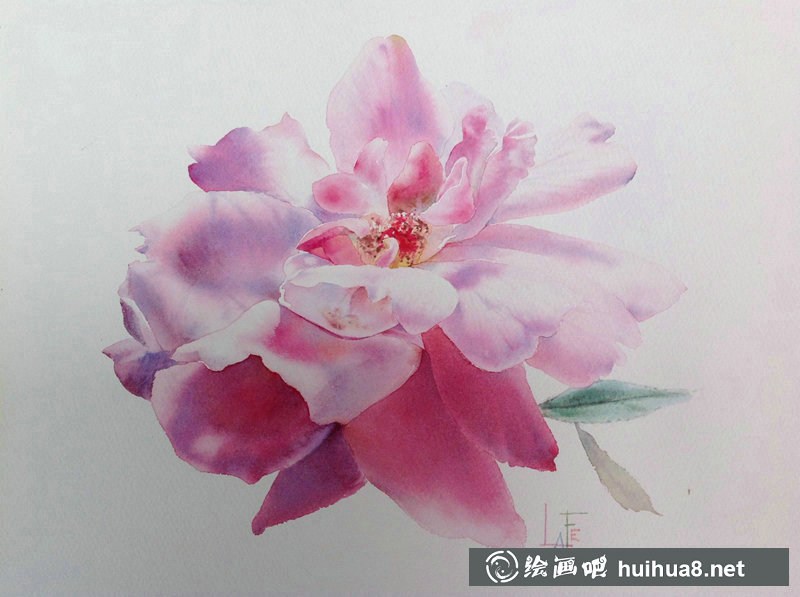 泰国Sattha Homsawat水彩笔下的玫瑰花