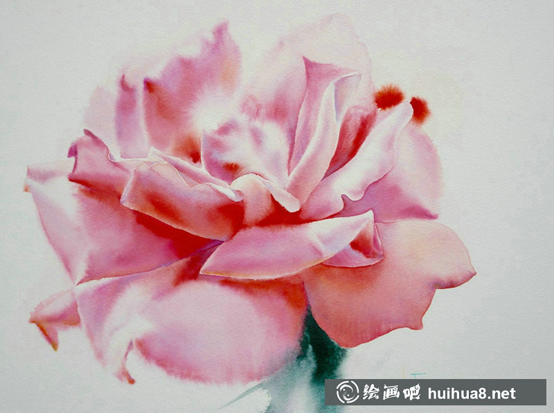 泰国Sattha Homsawat水彩笔下的玫瑰花