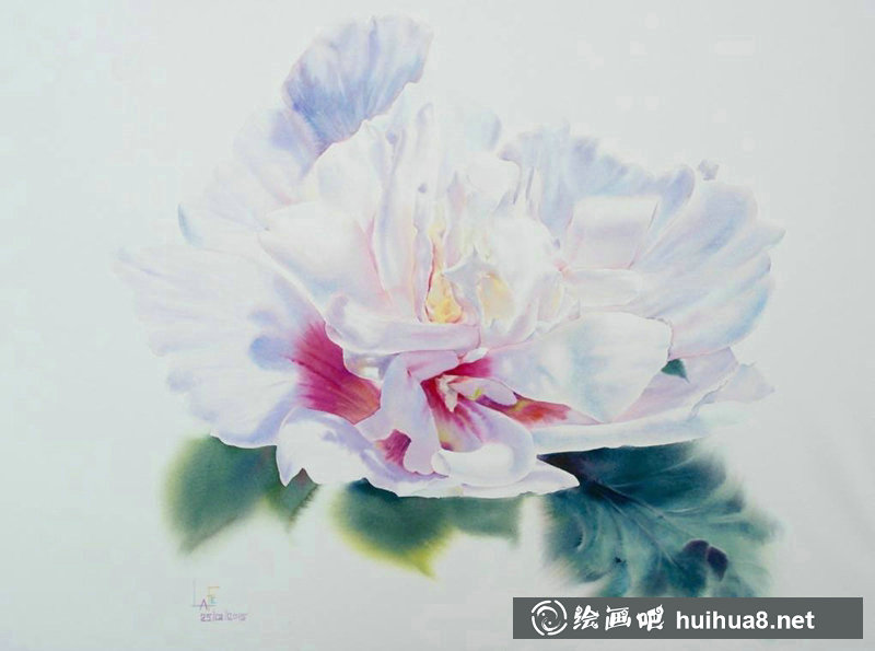 泰国Sattha Homsawat水彩笔下的玫瑰花