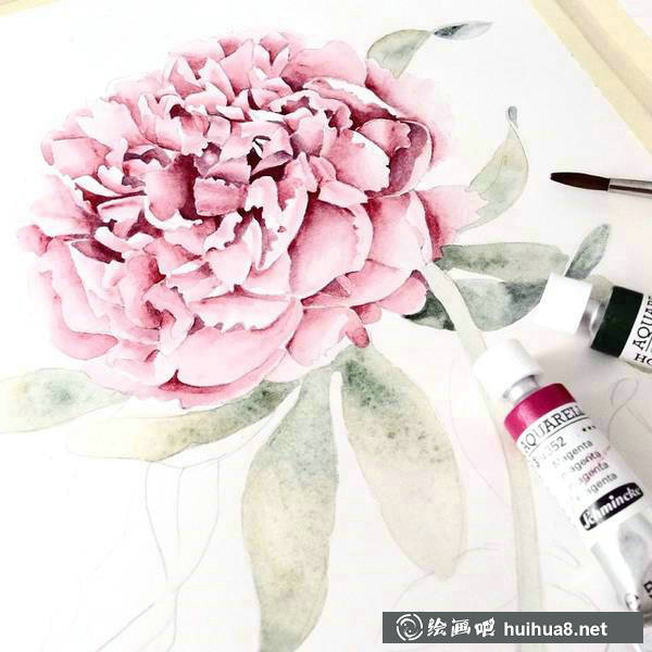 插画家Elena Limkina的水彩植物绘 插画家Elena Limkina的水彩植物绘