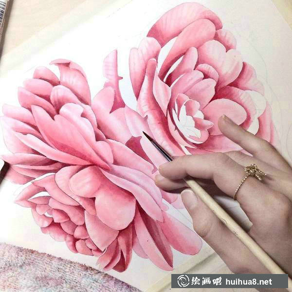 插画家Elena Limkina的水彩植物绘 插画家Elena Limkina的水彩植物绘