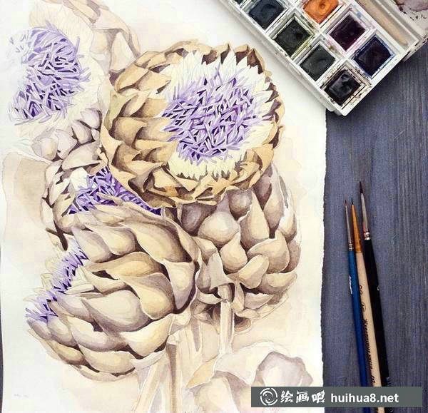 插画家Elena Limkina的水彩植物绘 插画家Elena Limkina的水彩植物绘