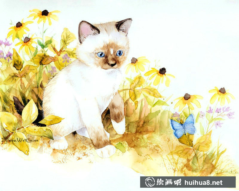 美国插画师Jane Maday笔下的可爱猫咪小动物 美国插画师Jane Maday笔下的可爱猫咪小动物