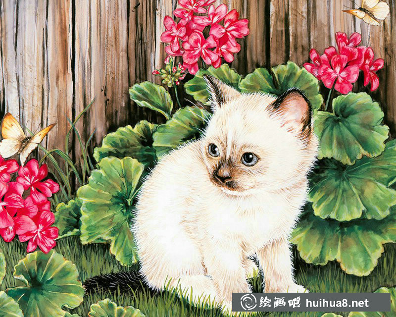 美国插画师Jane Maday笔下的可爱猫咪小动物 美国插画师Jane Maday笔下的可爱猫咪小动物