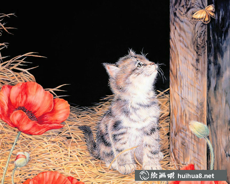 美国插画师Jane Maday笔下的可爱猫咪小动物 美国插画师Jane Maday笔下的可爱猫咪小动物