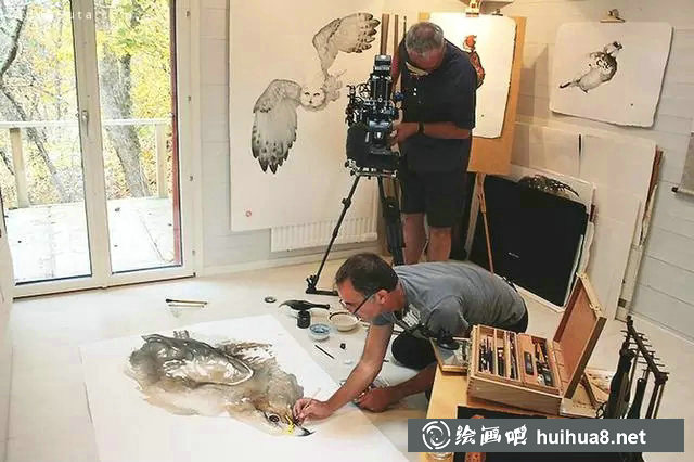美国画家Karl Martens中西结合水彩画鸟