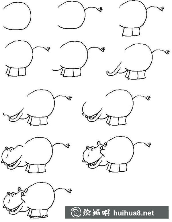 河马简笔画步骤2