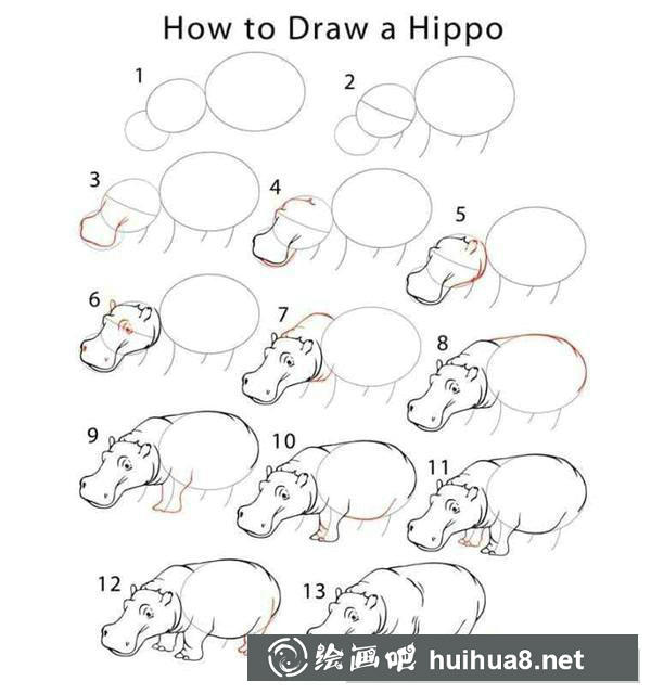 河马简笔画步骤3