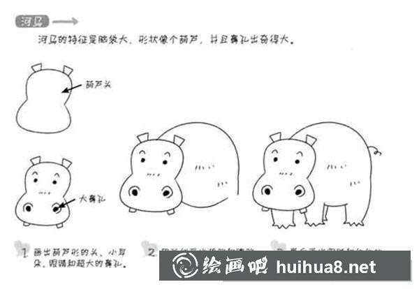 河马简笔画步骤5