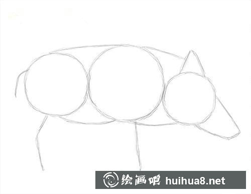 兔子四肢和耳朵