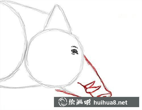 兔子毛发纹理