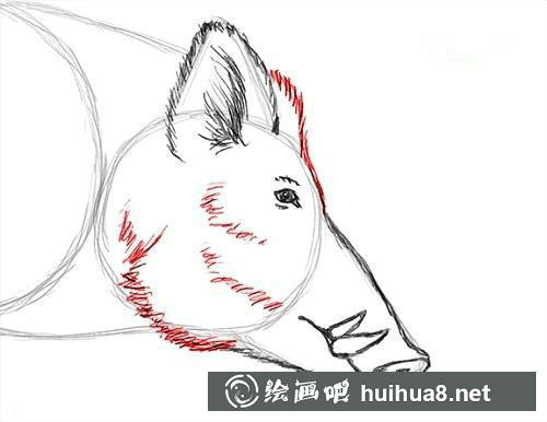 兔子阴影效果