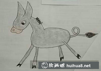 6 小毛驴完成绘制步骤6