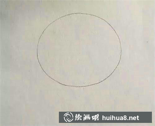 起司猫的小脑袋