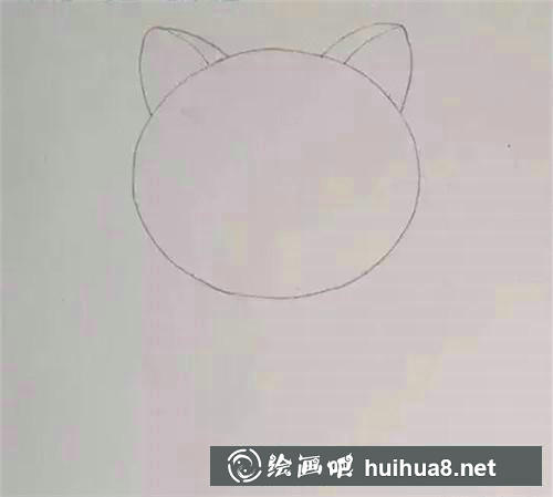 起司猫的耳朵