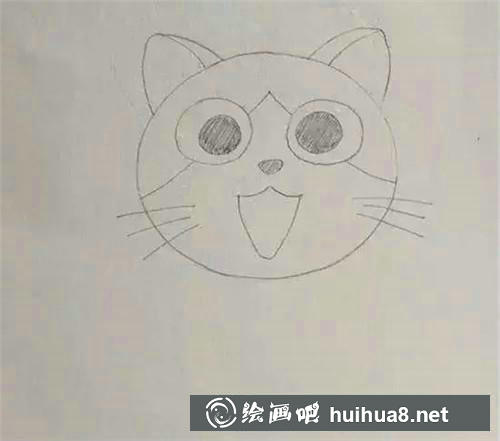 起司猫的眼睛