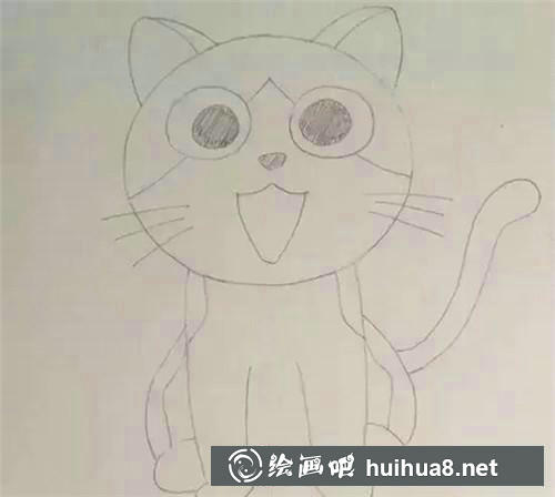 起司猫的身体花纹