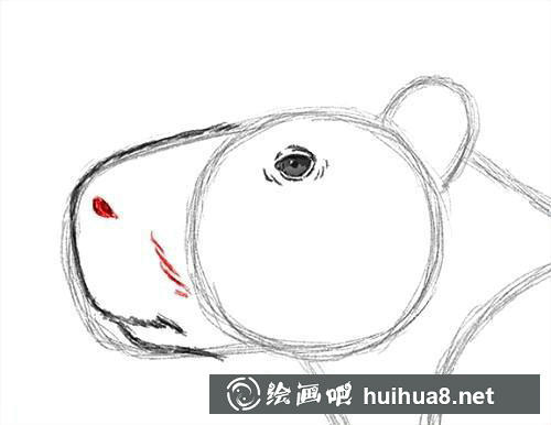 第5步