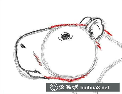 第6步