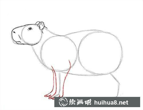 第7步